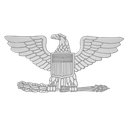 Colonel insignia