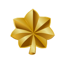 Major insignia